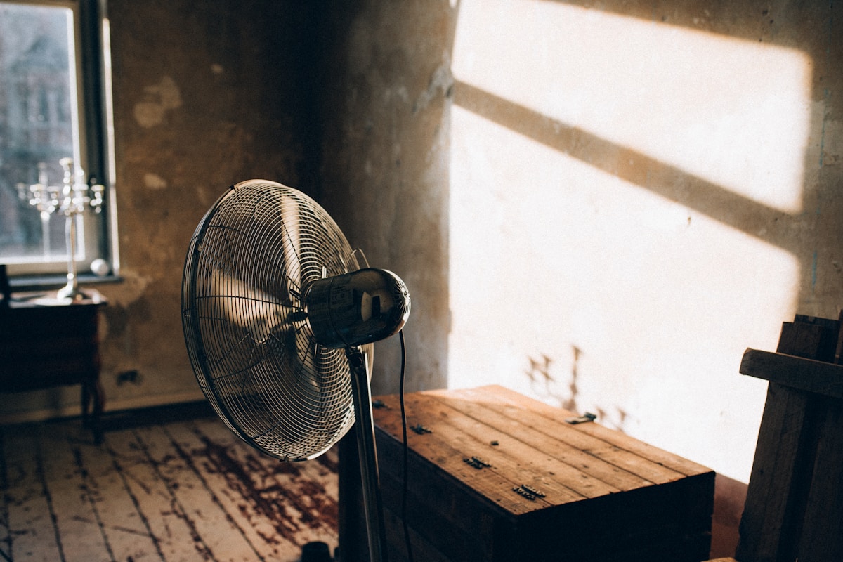 Mold Remediation service in Jacksonville, NC