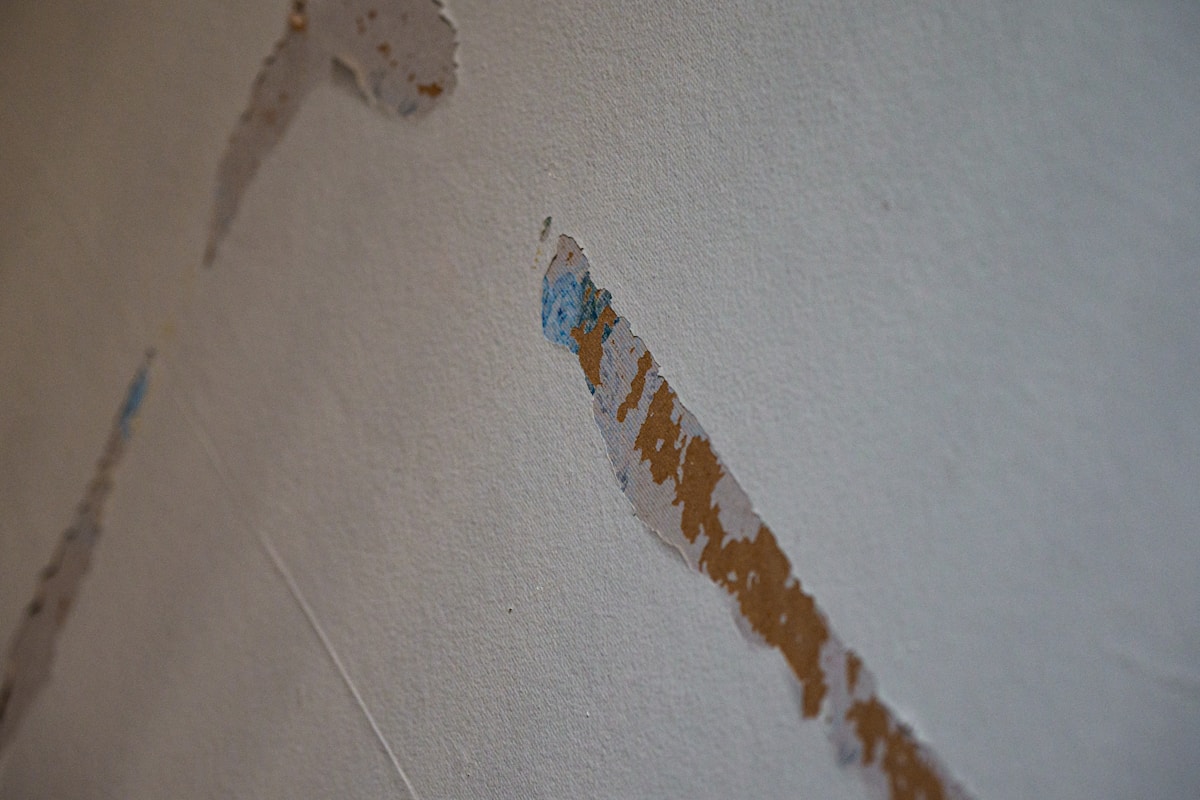 Basement Water Removal service in Jacksonville, NC